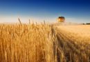 Основы рыночных отношений в сельском хозяйстве — Теория поведения потребителя: индивидуальный спрос