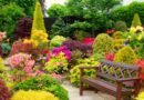 Прекрасные растения для вашего сада: идеи и советы
